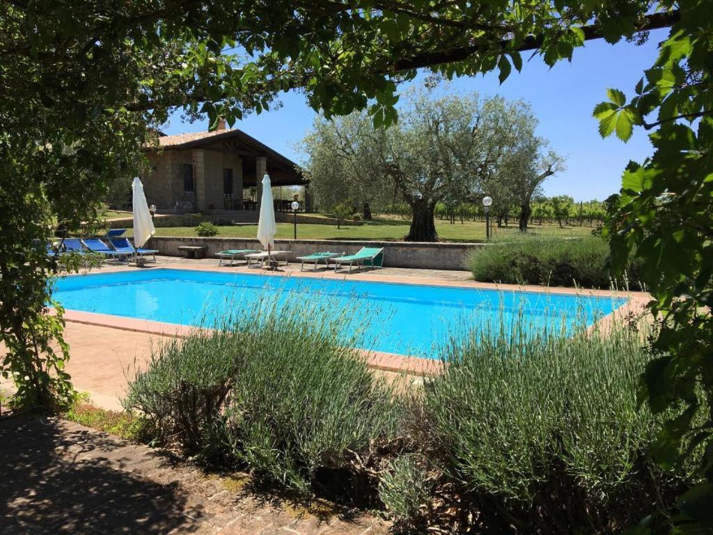 Agriturismo Eco-Bio Villa Vacasio ปีติญาโน ภายนอก รูปภาพ