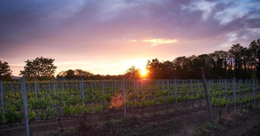 Agriturismo Eco-Bio Villa Vacasio ปีติญาโน ภายนอก รูปภาพ