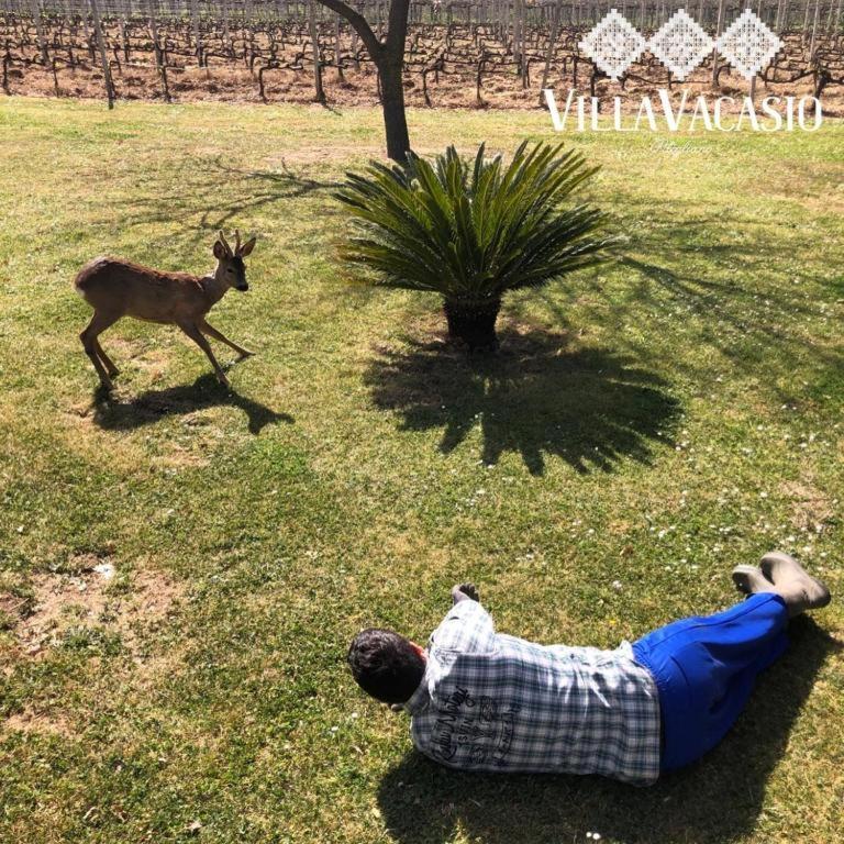 Agriturismo Eco-Bio Villa Vacasio ปีติญาโน ภายนอก รูปภาพ